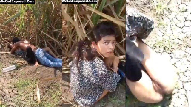 Hot Desi girl caught fucking in sugarcane farm mms leaked, HD Audio